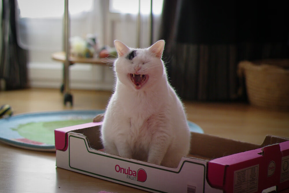 浓眉独木难支？76人绝境逆袭，生死战力克广东诠释团队真谛